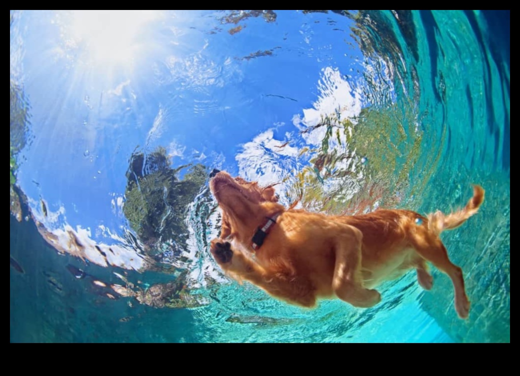 Puppy Pool Paw-ty: Water Games for Cooling Off
