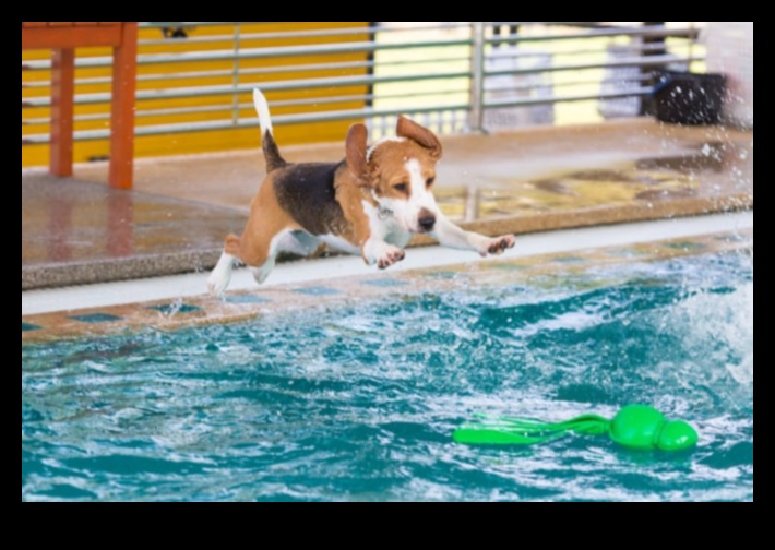 Puppy Pool Paw-ty: Water Games for Cooling Off
