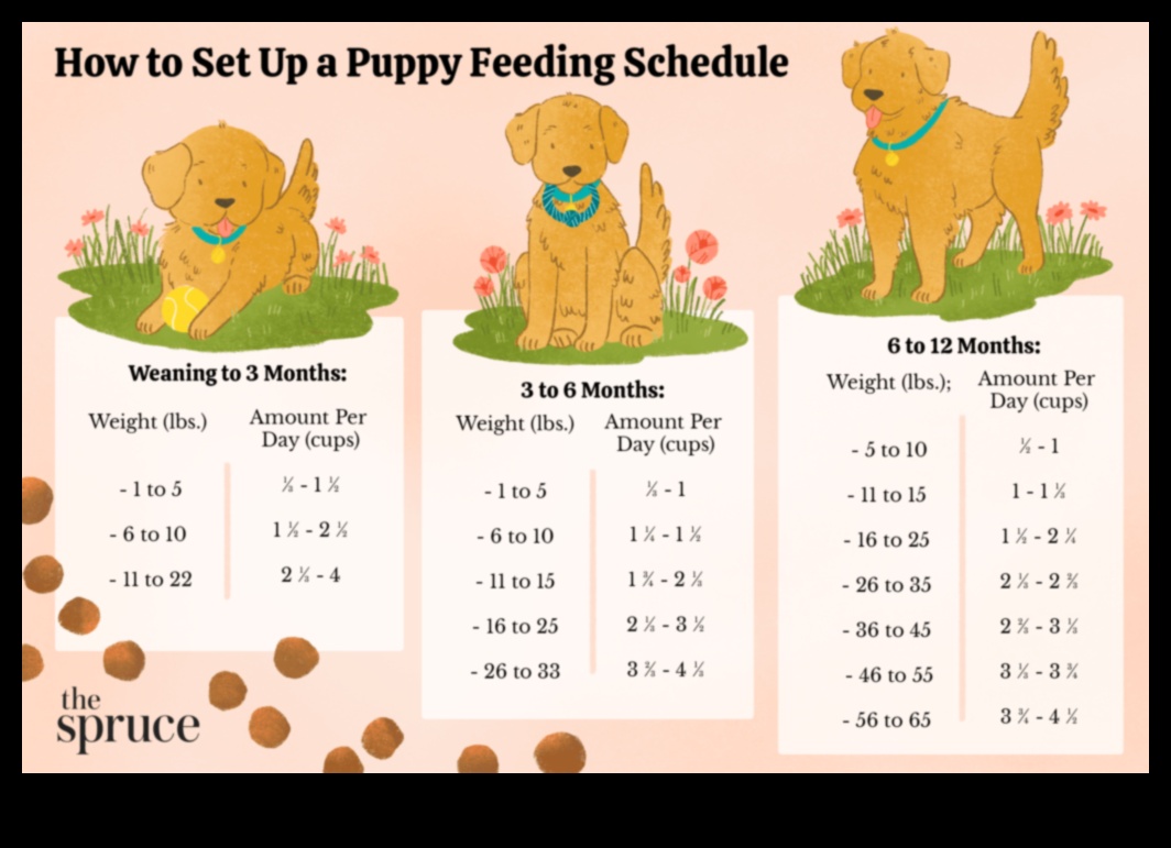 Puppy Potty Training: Effective Techniques for a Clean Home