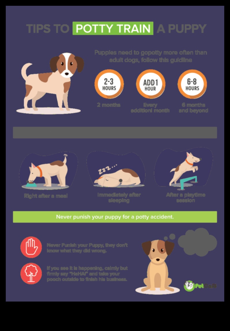 Puppy Potty Training: Effective Techniques for a Clean Home