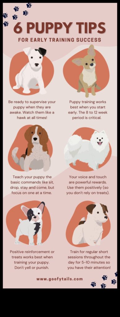 Puppy Preschool Early Training Tips for New Dog Parents 1