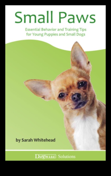 Puppy Preschool: Essential Training Tips for Young Dogs