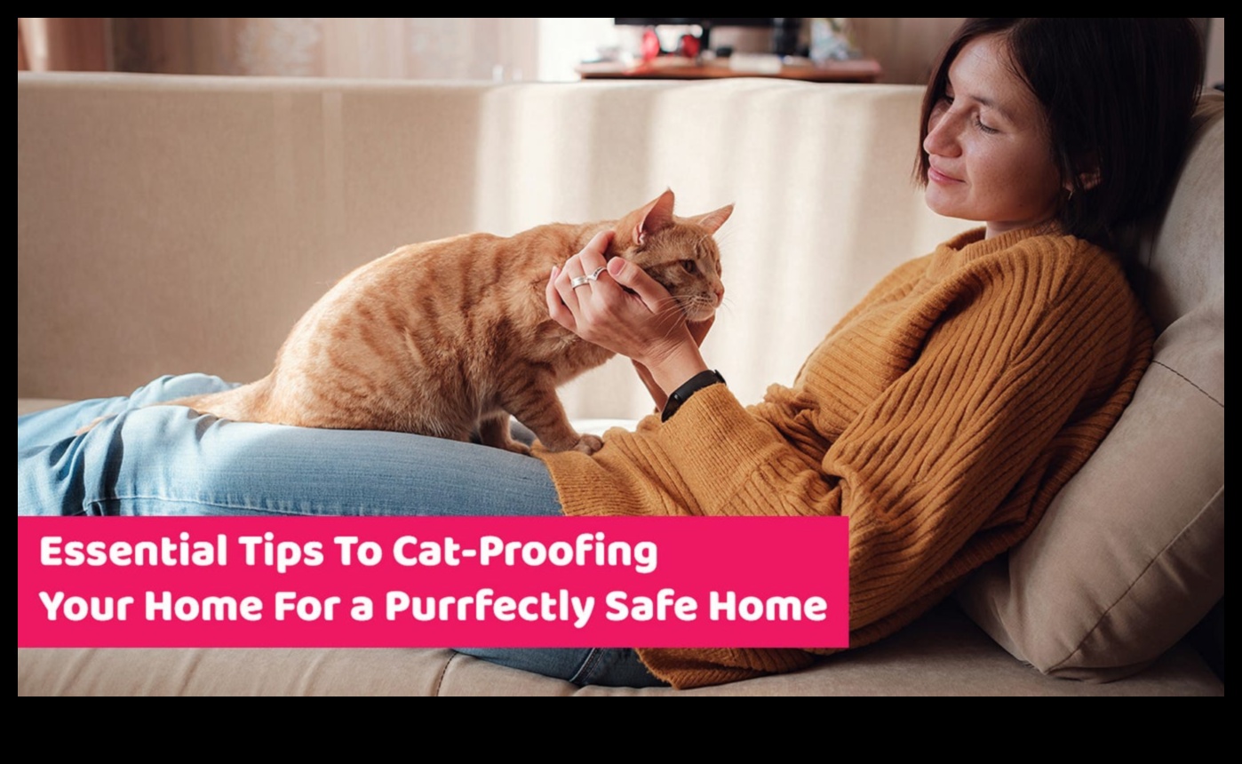 Purr-fection Personified: Understanding Cat Behavior