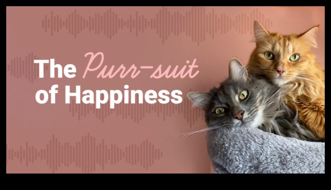 Purr-sonalized Spaces Continued: Tailoring Your Home for Your Cat's Comfort