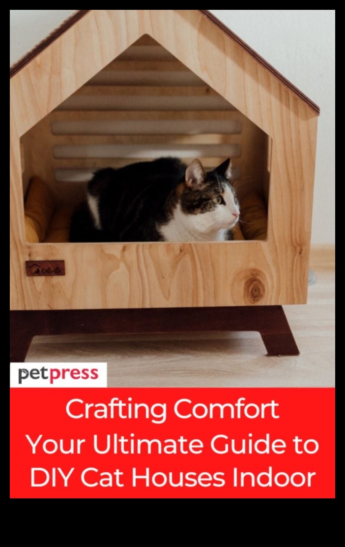 Purr-sonalized Spaces: Tailoring Your Home for Your Cat's Comfort