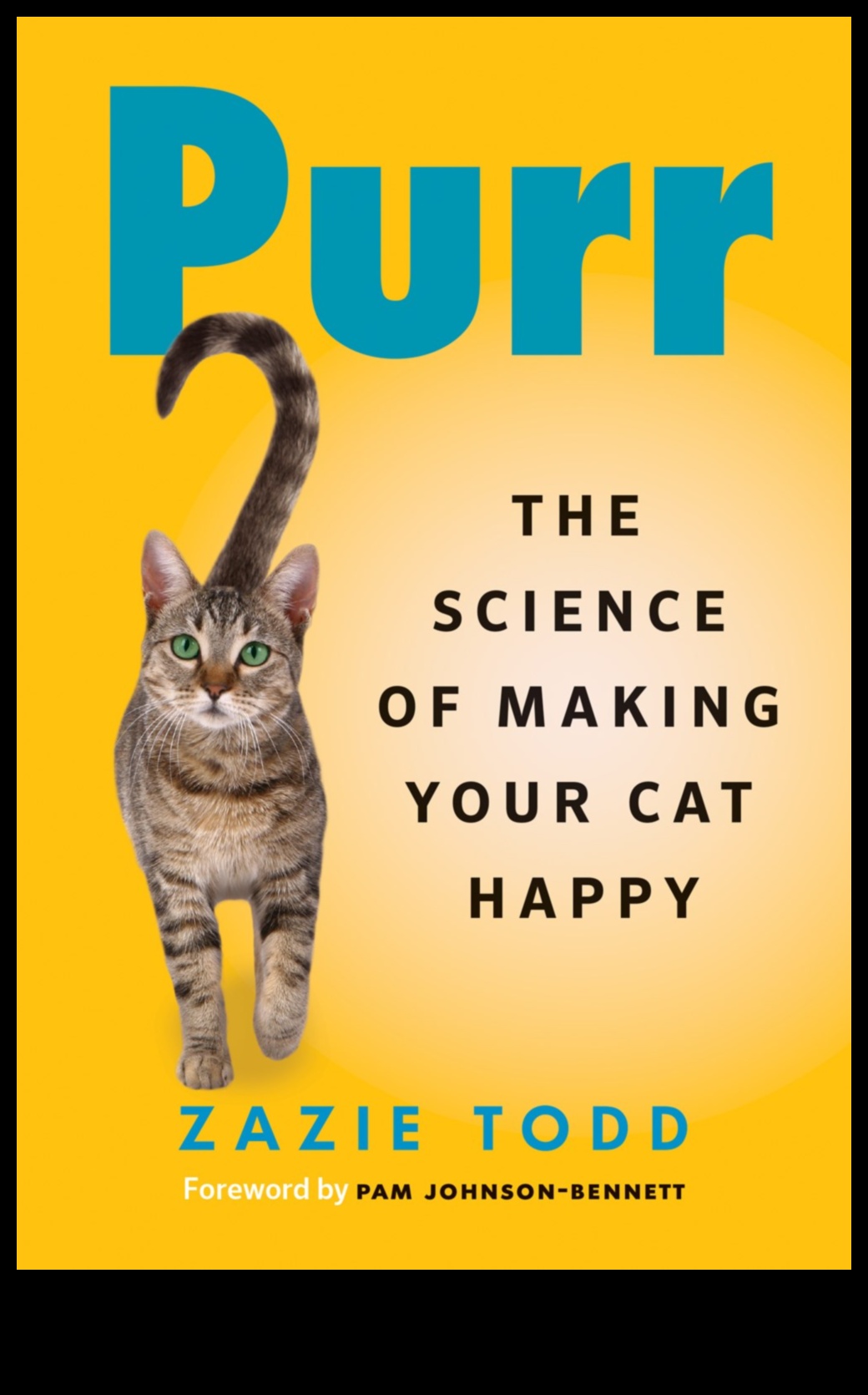 Purr-sonalized Spaces: Tailoring Your Home for Your Cat's Comfort