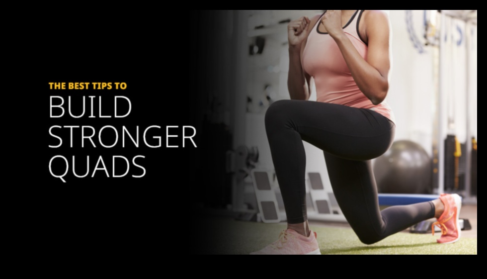 Quadriceps Quotient How to Calculate Leg Strength and Build Stronger Legs 1