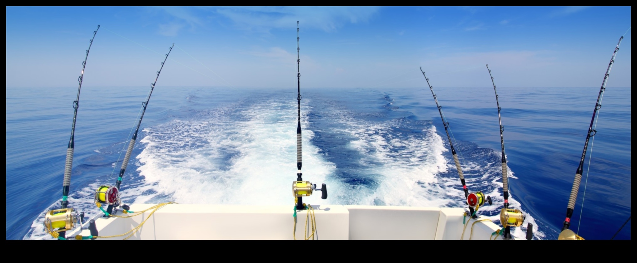 Reel Adventures: Planning the Ultimate Fishing Trip
