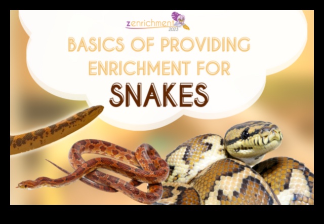 Reptile Reading Time Providing Stimulating Visuals for Pet Snakes 1