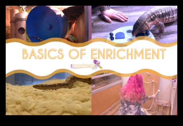 Reptile Reading Time: Providing Stimulating Visuals for Pet Snakes