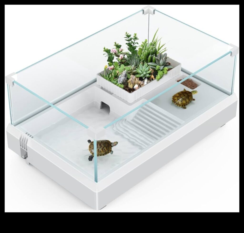 Reptile Relaxation Continued Designing Cozy Resting Areas 1