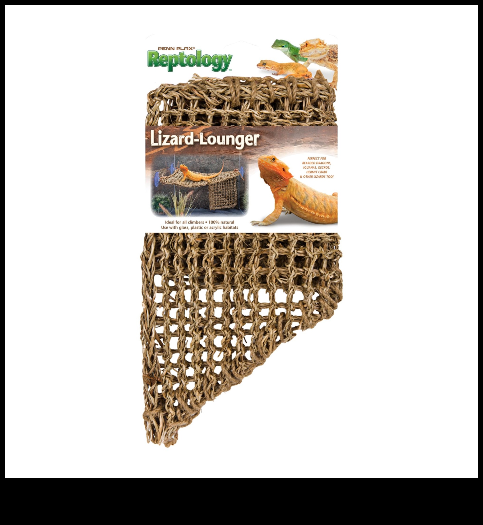 Reptile Relaxation Continued: Designing Cozy Resting Areas