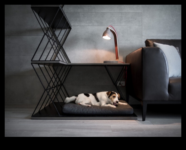 Reptile Relaxation Continued: Designing Cozy Resting Areas