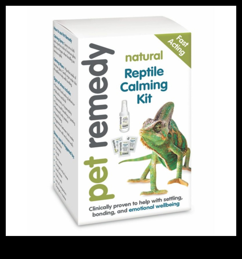 Reptile Relaxation Continued How to Help Your Pet Feel at Home 1