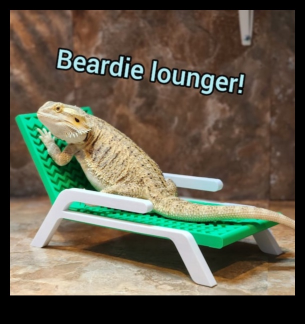 Reptile Relaxation: Creating Comfortable Resting Spots
