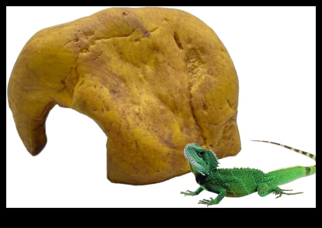 Reptile Retreat Continued DIY Resting Spots for Relaxation 1