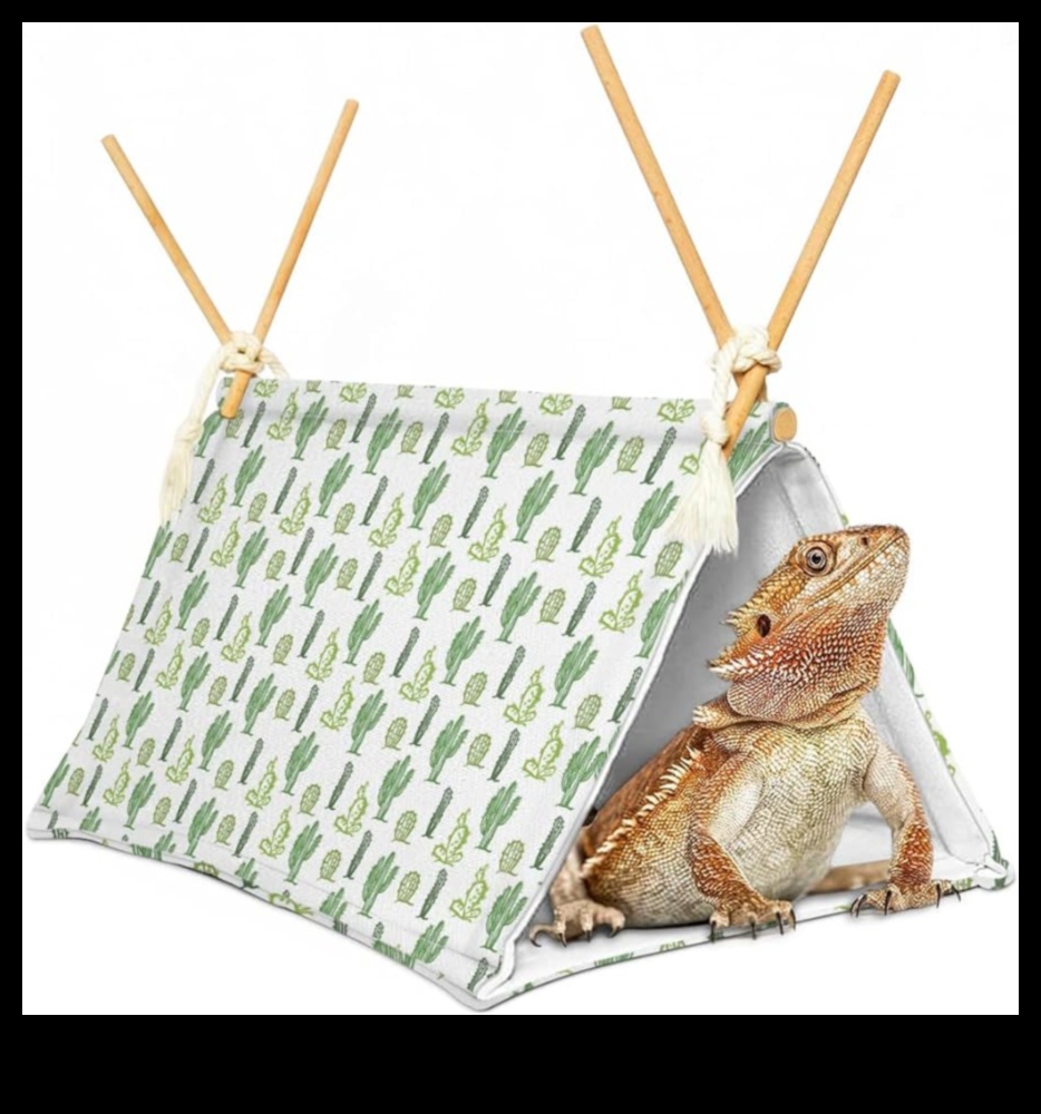 Reptile Retreat Continued: DIY Resting Spots for Relaxation