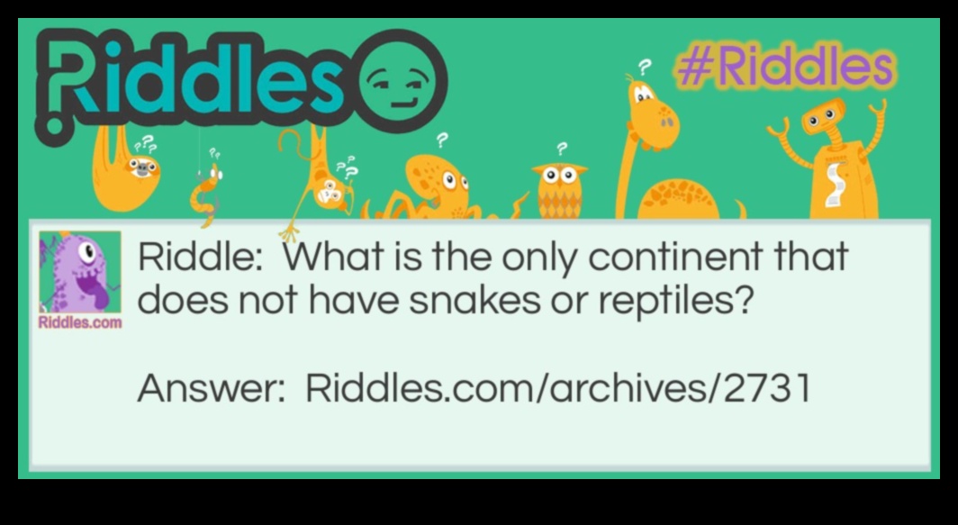 Reptile Riddles: Stimulating Challenges for Curious Reptiles