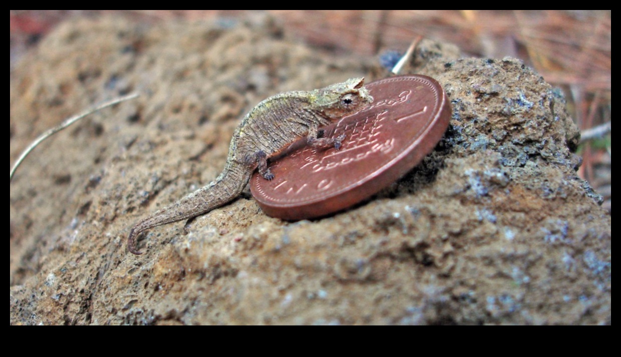 Reptile Romps: Engaging Activities for Your Scaly Companion