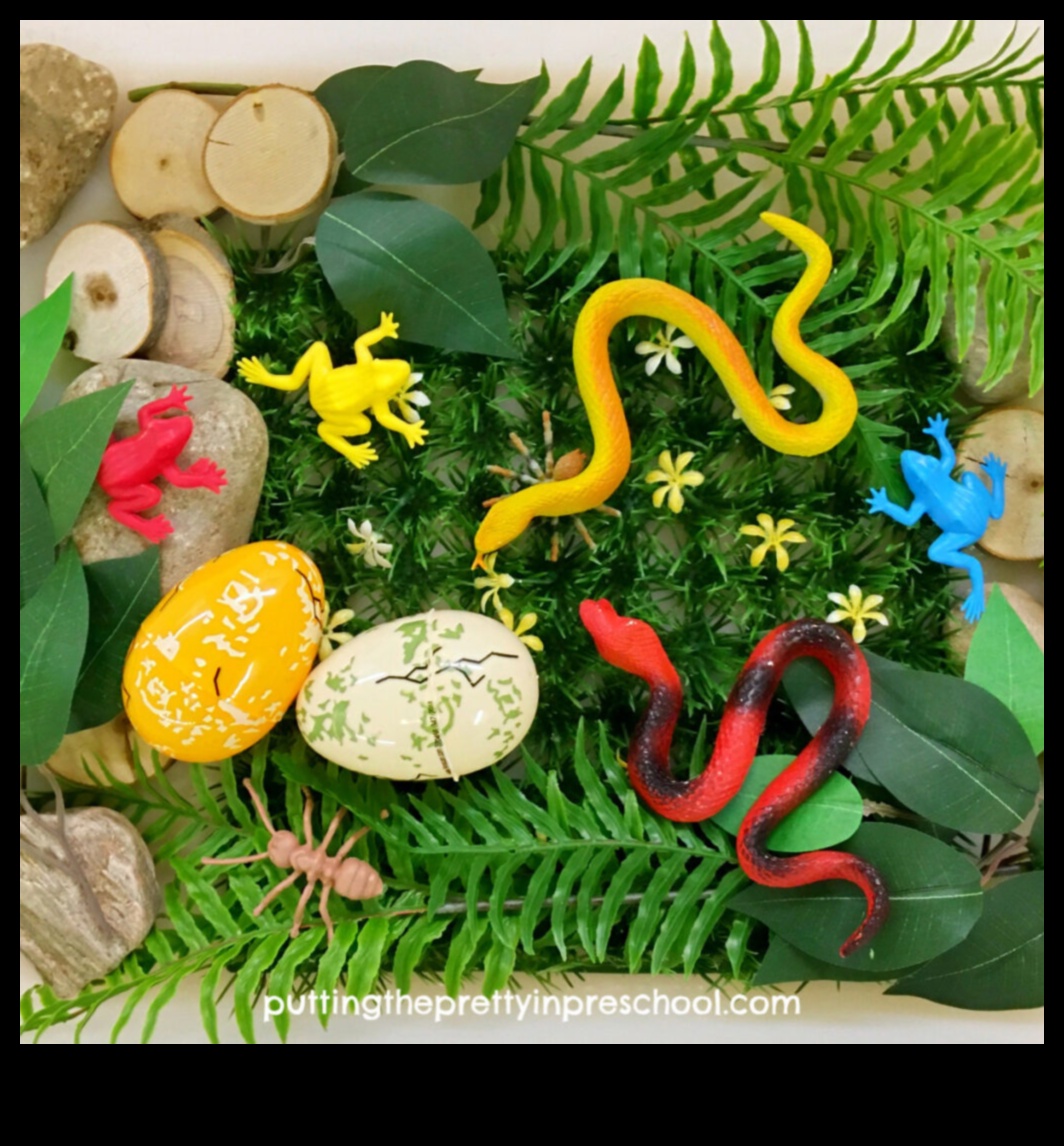 Reptile Romps: Engaging Activities for Your Scaly Companion