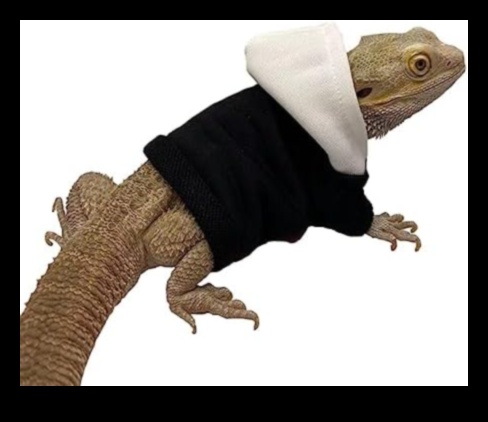 Reptile Runners: Accessories for Fashionable Reptiles