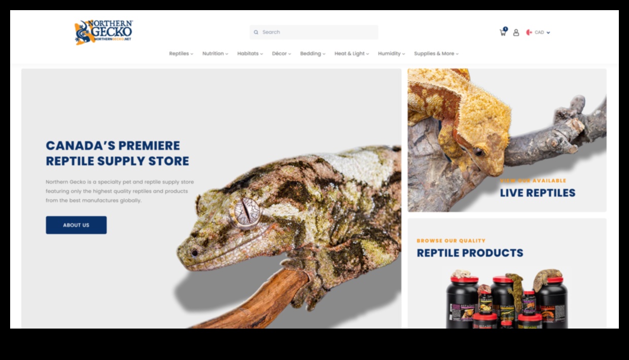 Reptile Runners: Accessories for Fashionable Reptiles