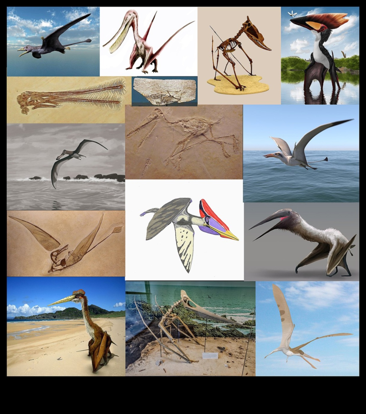 Reptile Runners Continued: More Fashionable Accessories for Your Scaley Companion