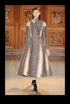 Reptile Runway Continued: Stylish Accessories for Your Scaley Friend