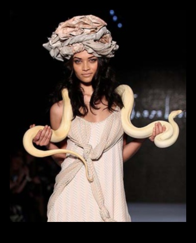 Reptile Runway: Strutting in Style with Accessories for Reptiles