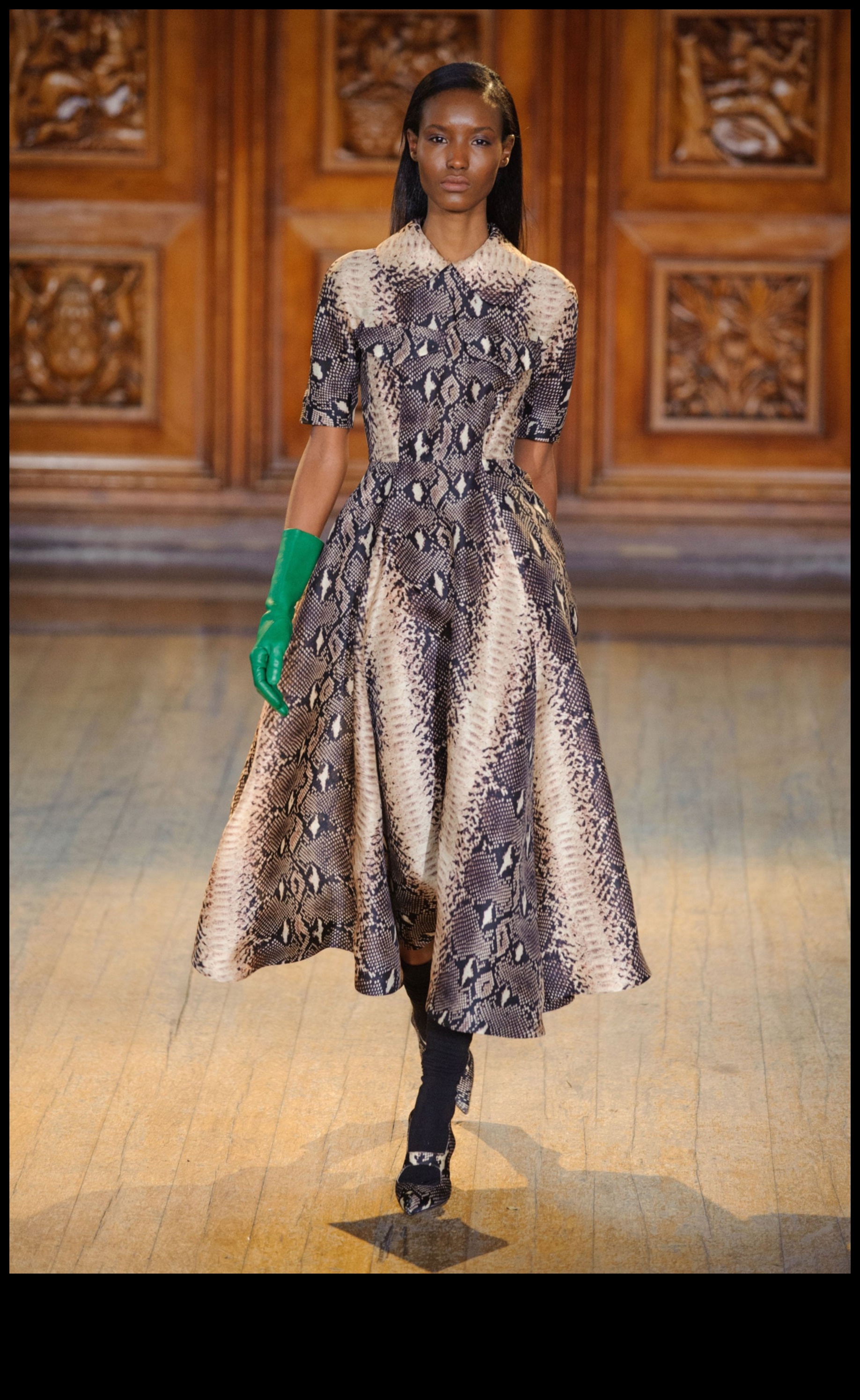 Reptile Runway: Strutting in Style with Accessories for Reptiles