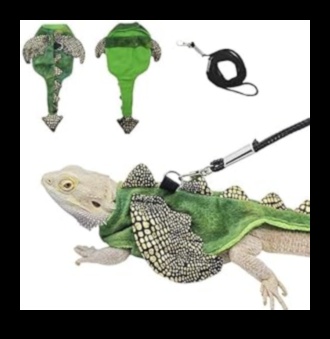 Reptiles Rule! Reptile Runners Redux Debuts New Line of Fashionable Accessories for Scaley Companions. 1