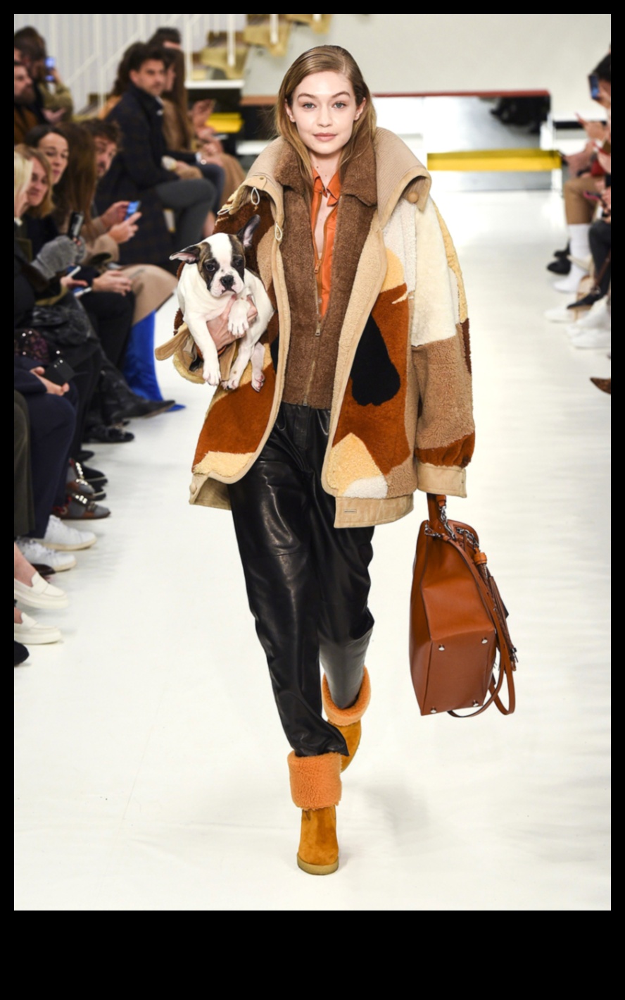 Reptile Runway Rendezvous: Adding Glamour to Your Scaley Friend's Look