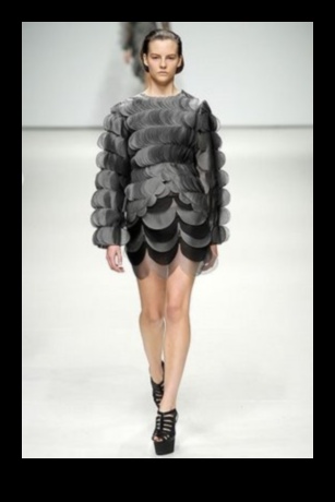 Reptile Runway Rendezvous: More Glamorous Additions for Your Scaley Friend