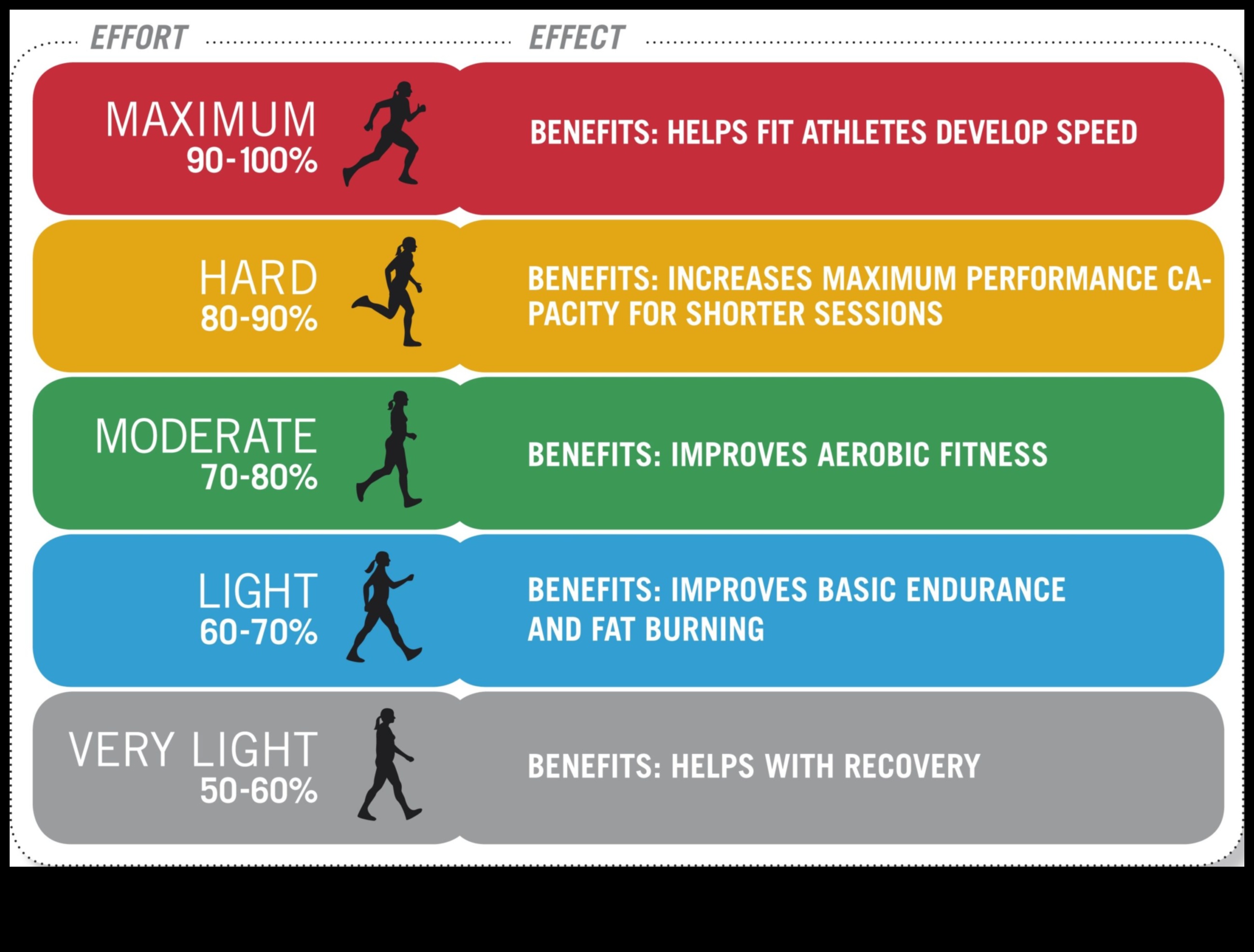Rise and Pulse: Cardiovascular Workouts for Morning Vitality