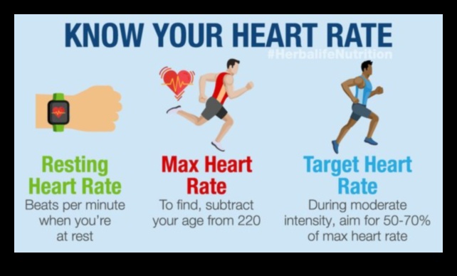 Rise and Pulse: Cardiovascular Workouts for Morning Vitality