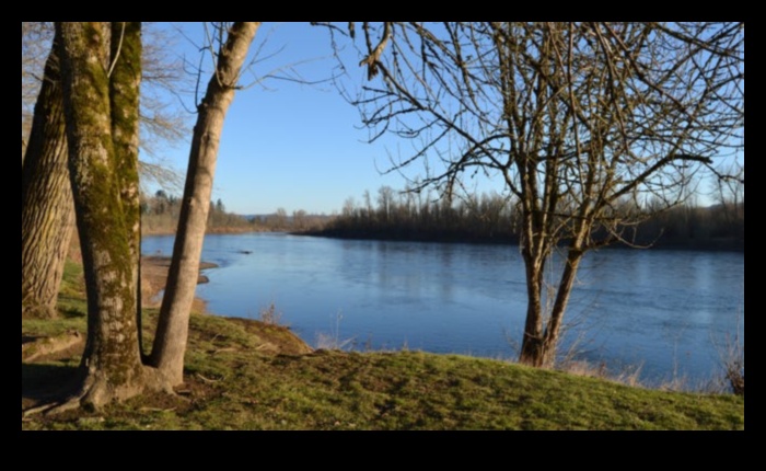 Riverfront Reps: Outdoor Exercises Along Picturesque Waterways