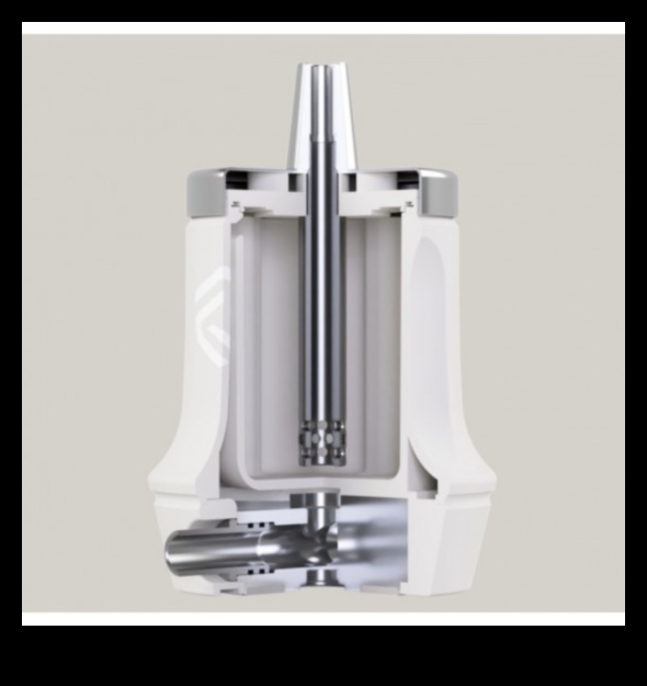 Roam Radiant: A Shine of Travel Information Brilliance