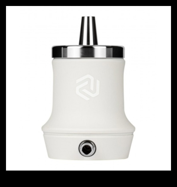 Roam Radiant: A Shine of Travel Information Brilliance