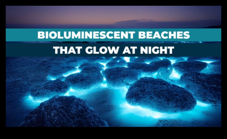 Roam Radiant: A Glow of Travel Information Brilliance