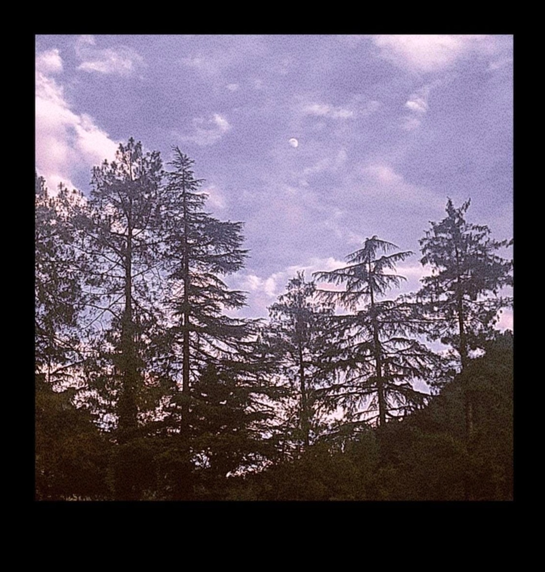 Roaming Rhapsody: A Traveler's Symphony of Exploration