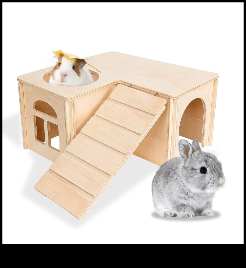 Rodent Retreats Continued Homemade Hideouts for Small Pets 1