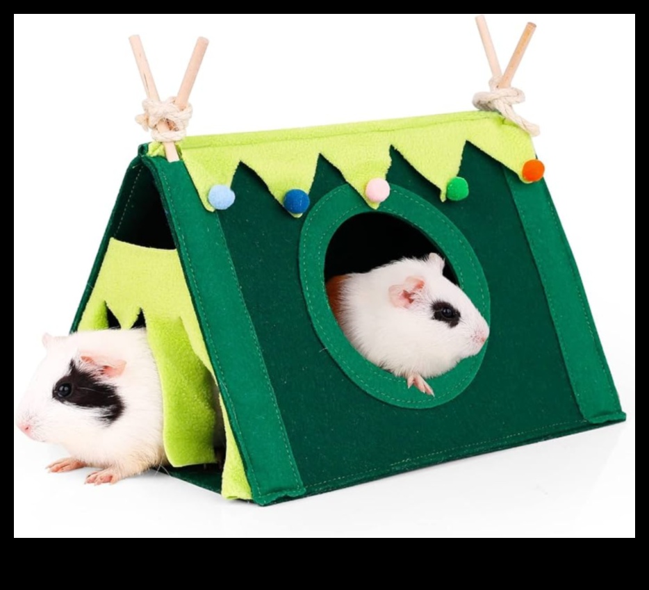 Rodent Retreats: DIY Hideouts for Small Pets