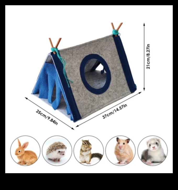 Rodent Retreats: DIY Hideouts for Small Pets