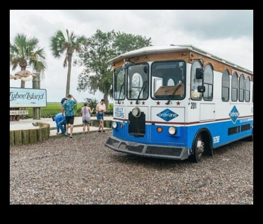 Rolling Rambles: Your Ultimate Bus Tour Guide