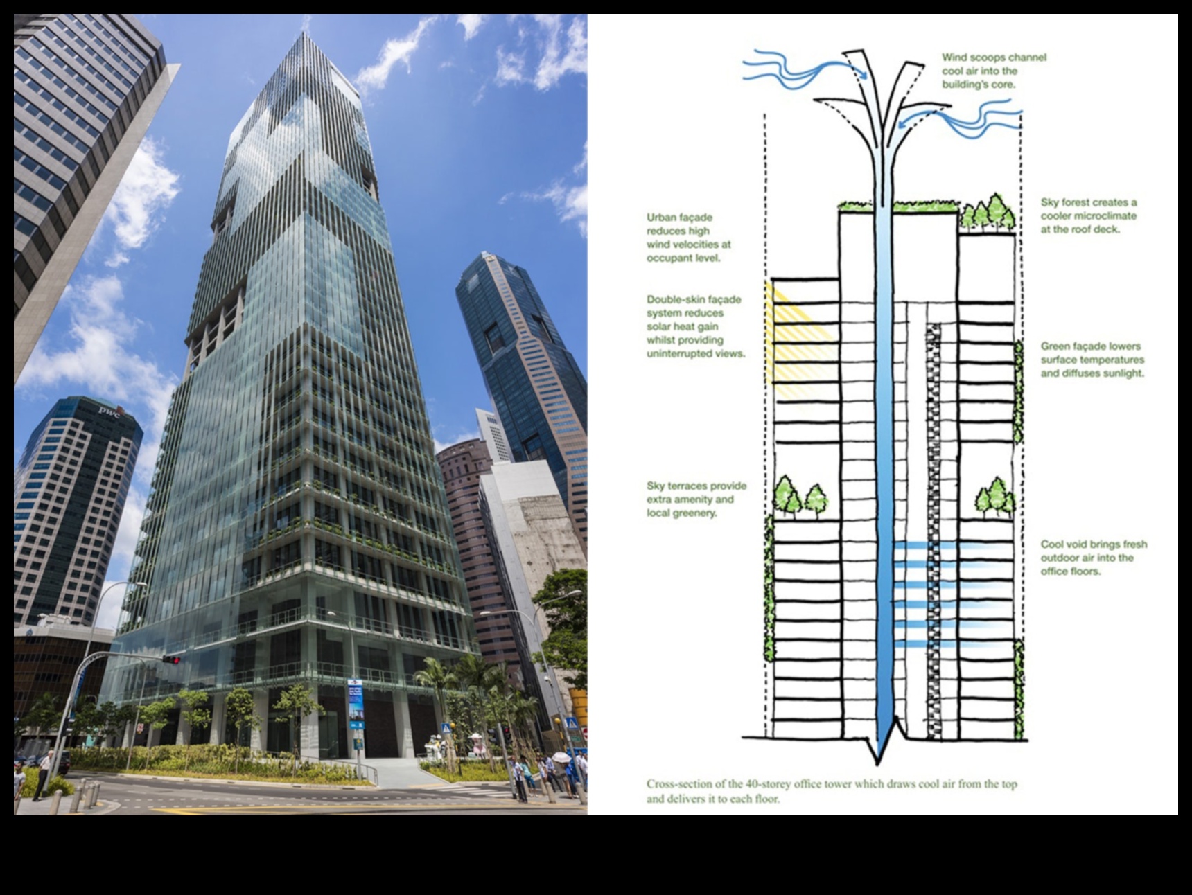 Roof Realm: Exploring the Heights of Accommodation