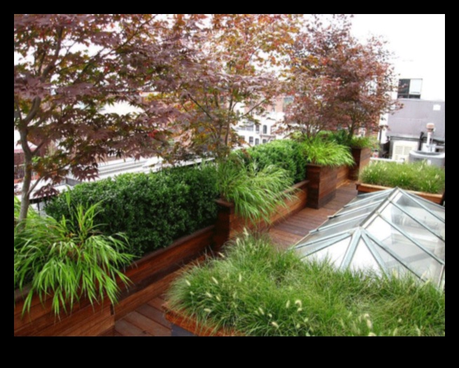 Roof Refuge: Crafting Your Sanctuary in Every City