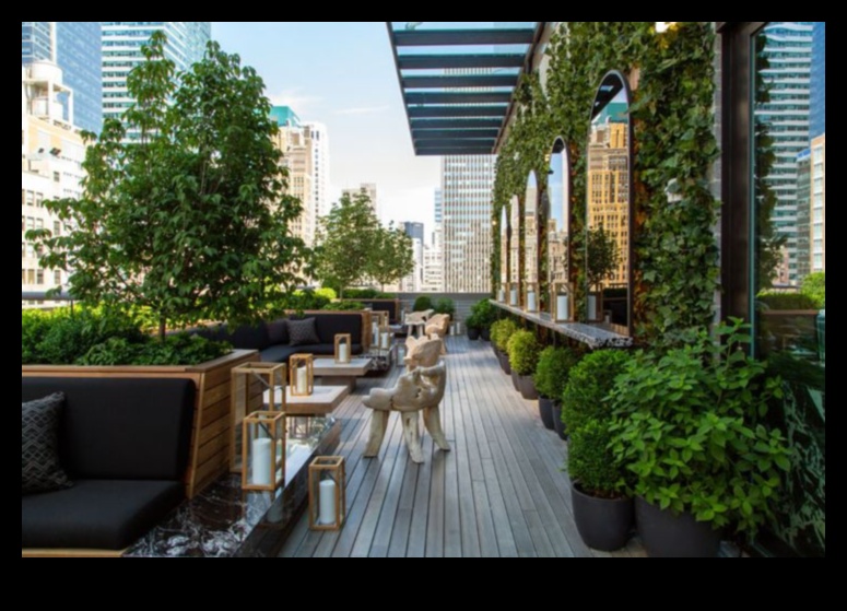 Roof Refuge: Crafting Your Sanctuary in Every City