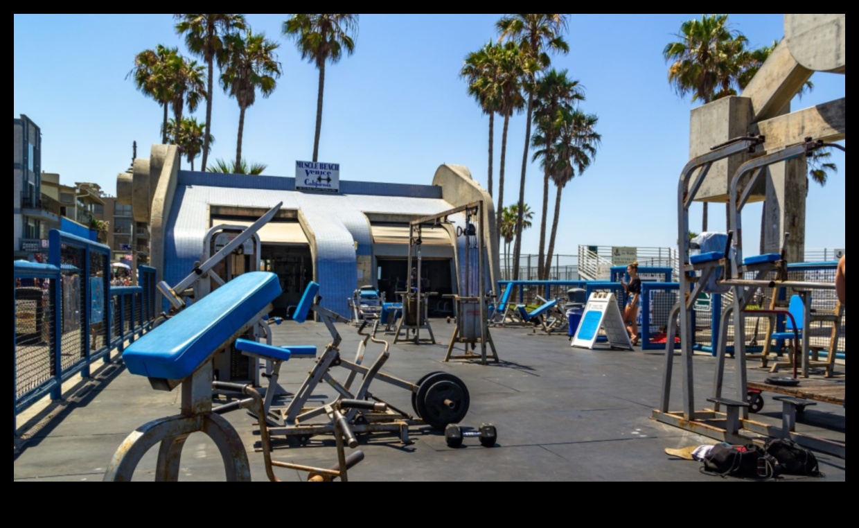 Rooftop Reps: Elevate Your Fitness with Urban Outdoor Exercises