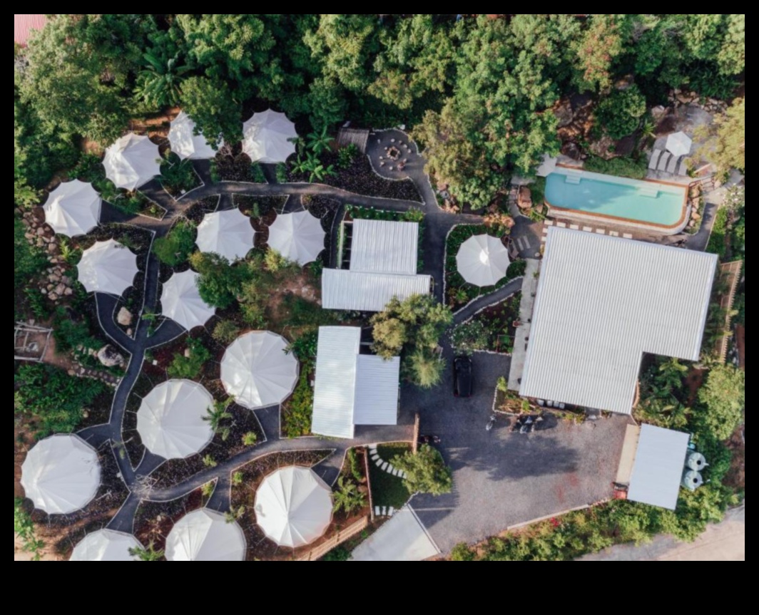 Roost Reverie: Creating Your Ideal Nest Away from Home