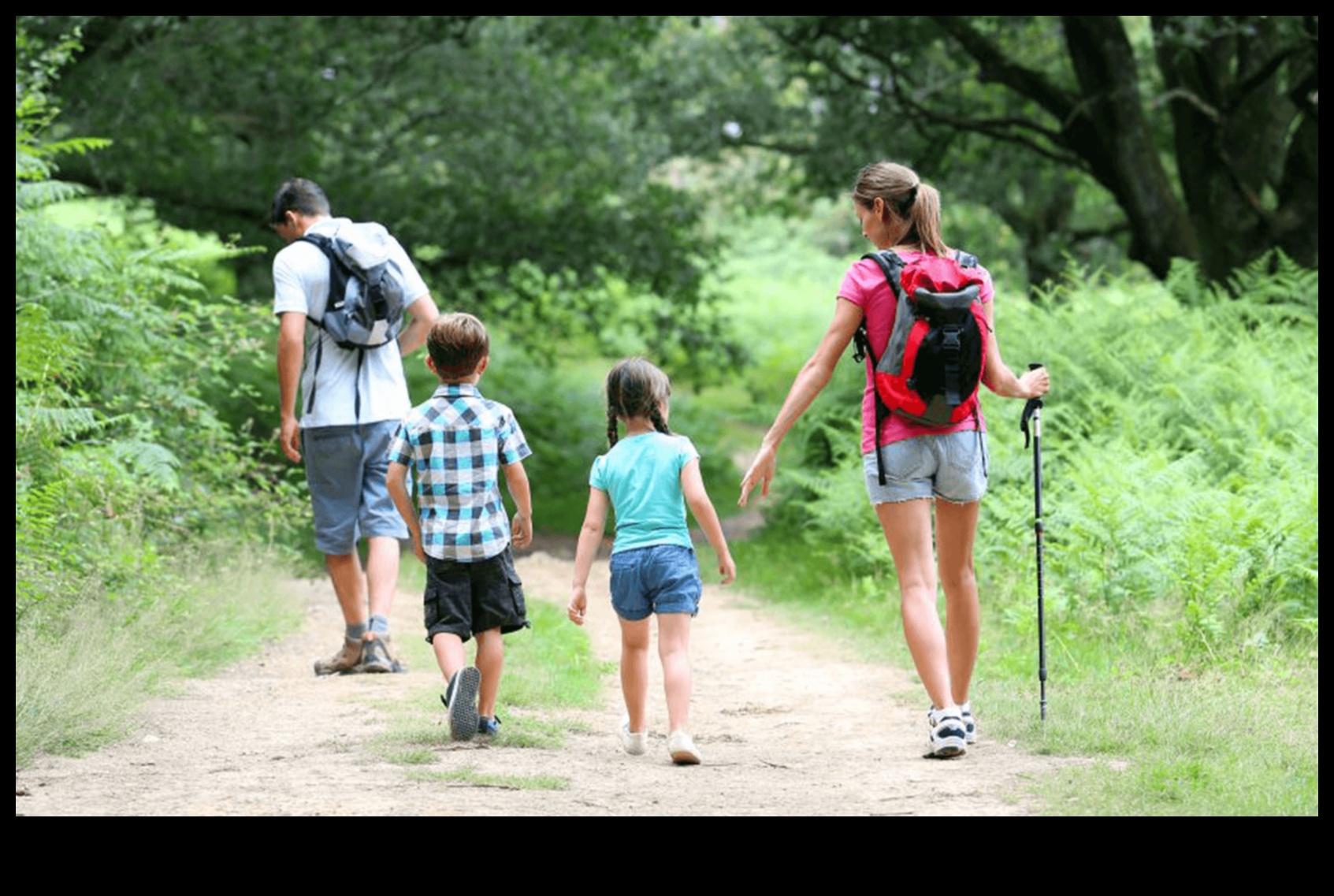 Rooted in Adventure: Navigating the World as a Family